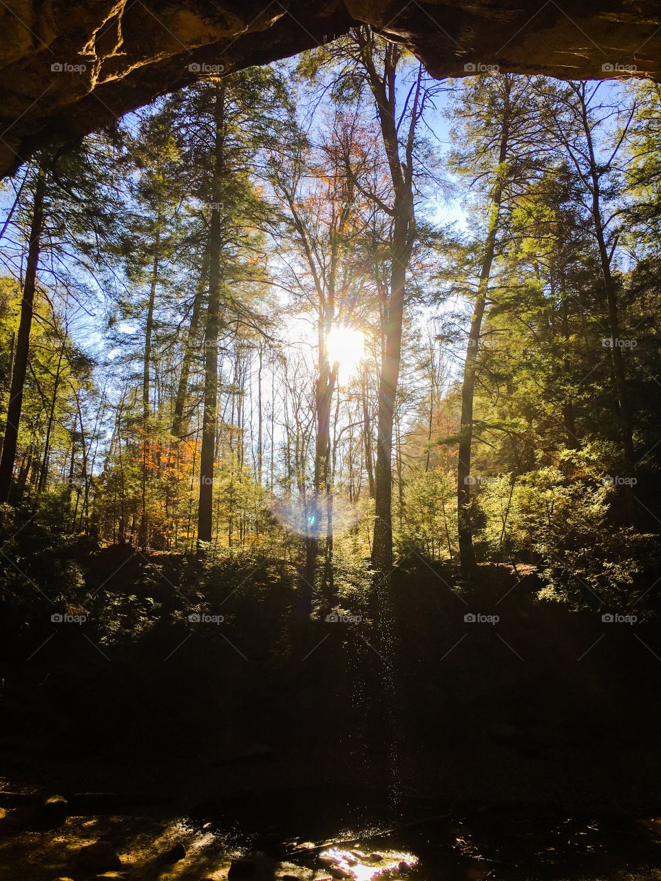 Nature's Remedy for the Soul