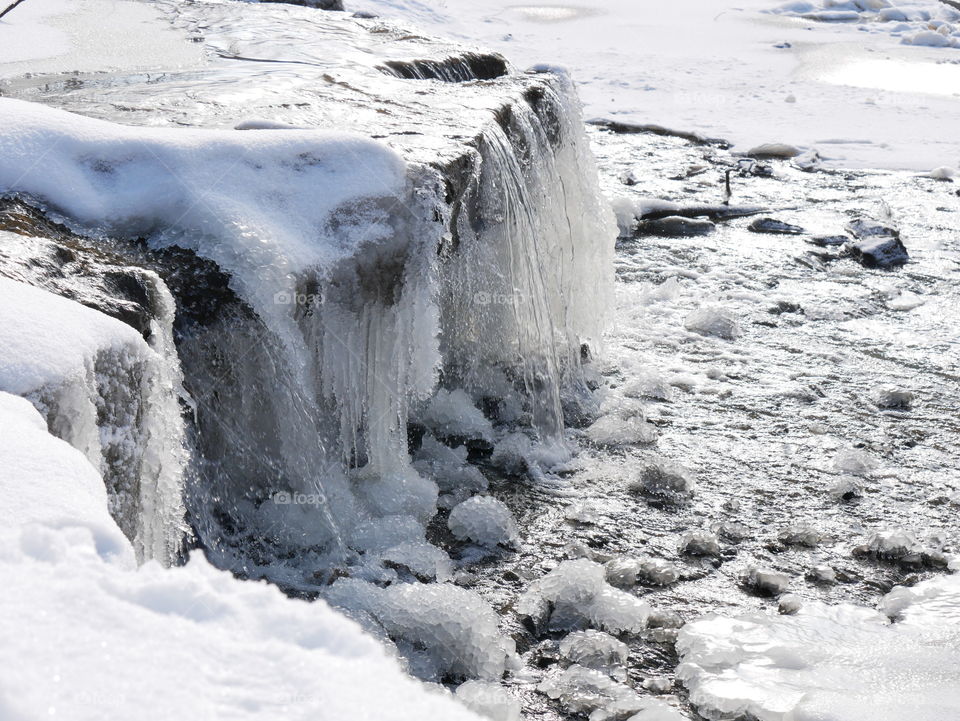 A walk through a winter wonderland, minutes into the local downtown area. Ice, snow, trees, water, and a little wildlife for good measure!