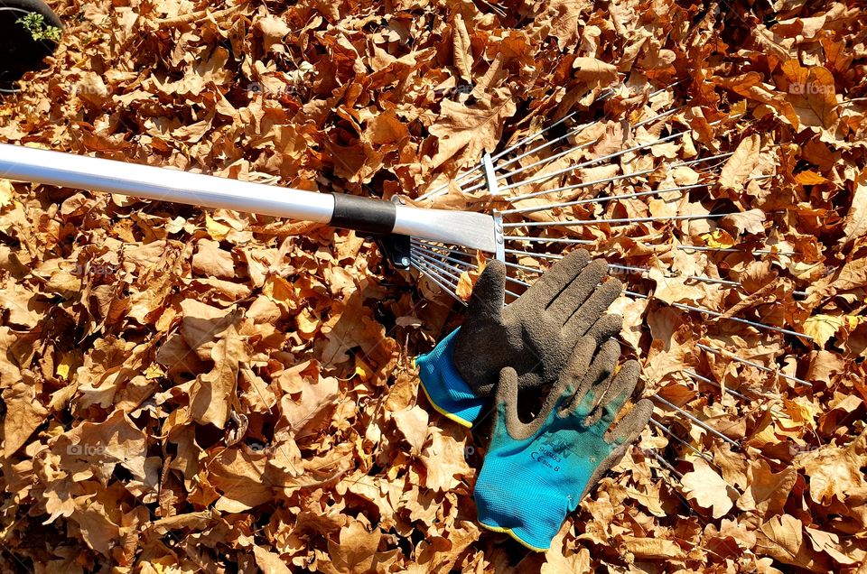 Equiment to doing garden.