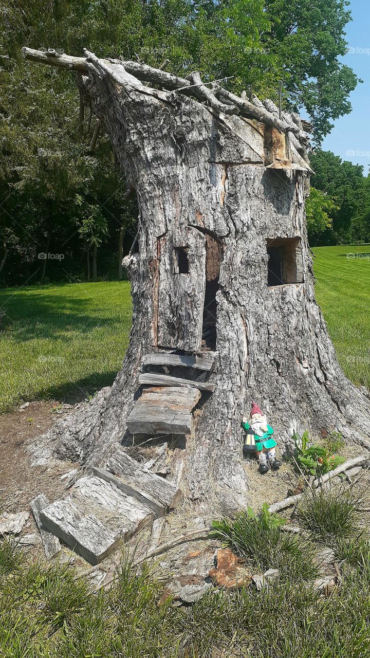 Gnome Tree House