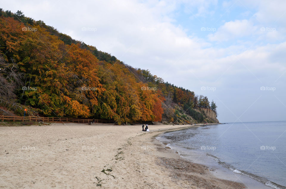 Water, Landscape, Beach, Nature, Travel