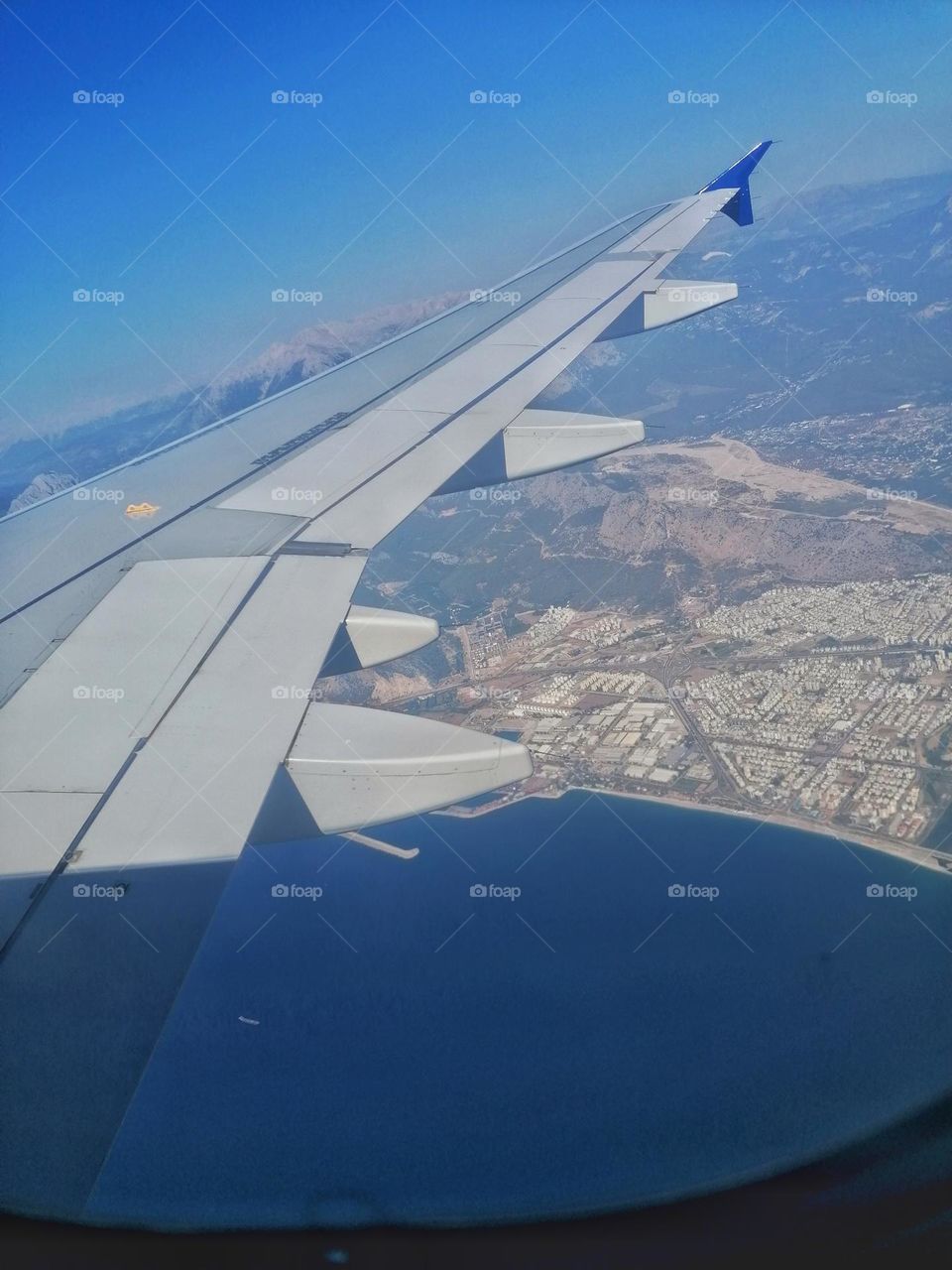 I could really use a wish right now