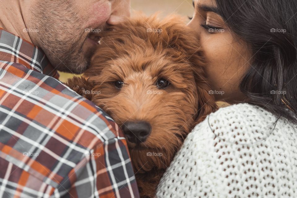 A couple kisses their new puppy as the golden doodle looks into the camera 