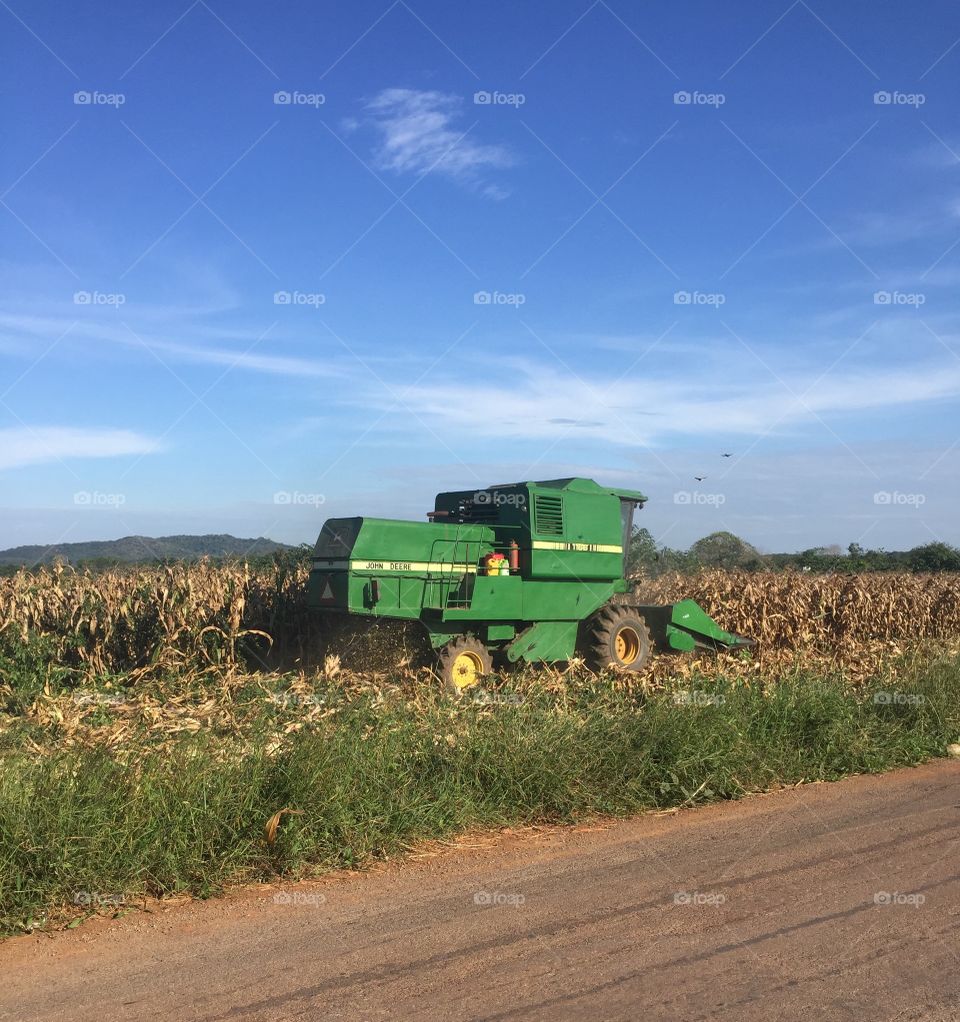 Corn car