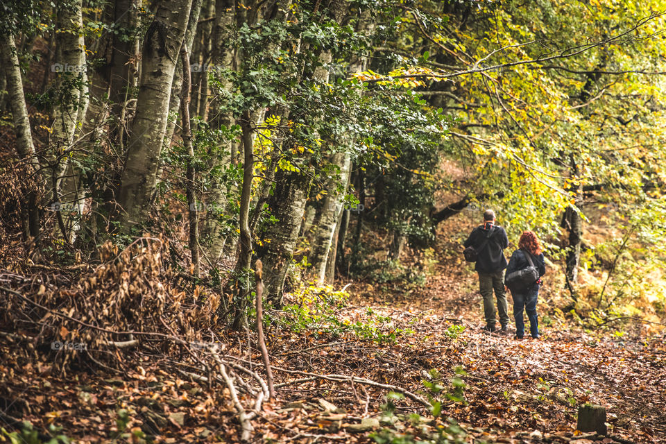 Man And Woman Photographers With Their Equipment In Forest In Autumn Season
