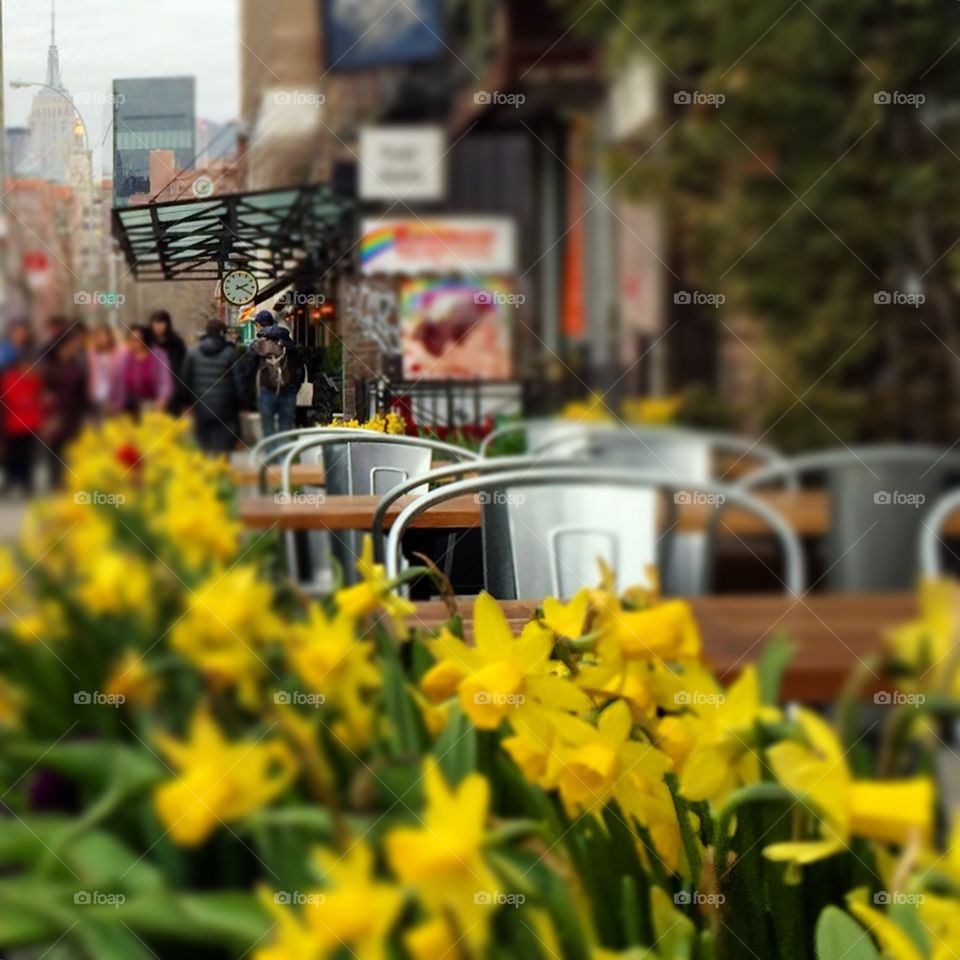 Cafe in the City. Daffodils and spring in the cafe. 