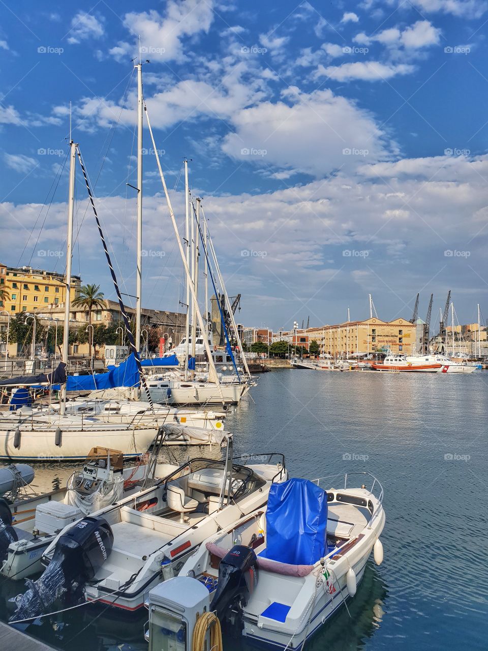 Port in Genoa