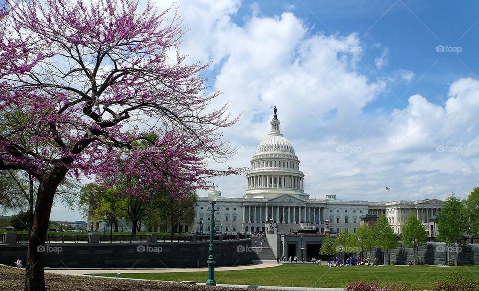 U.S. Capitol