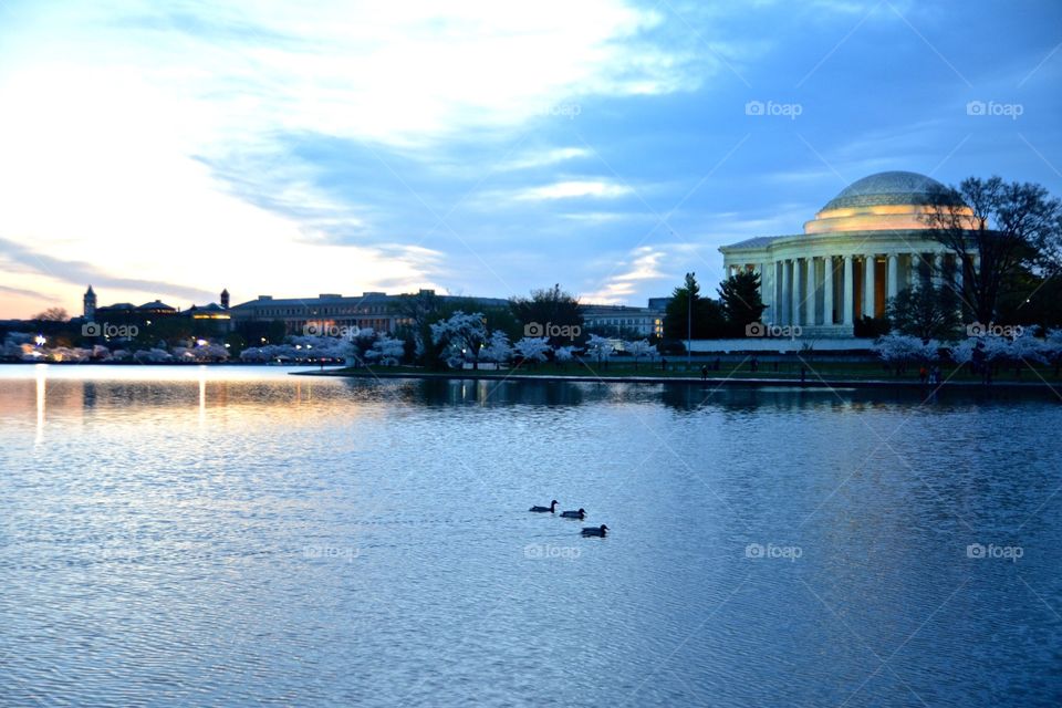 Washington DC sunrise