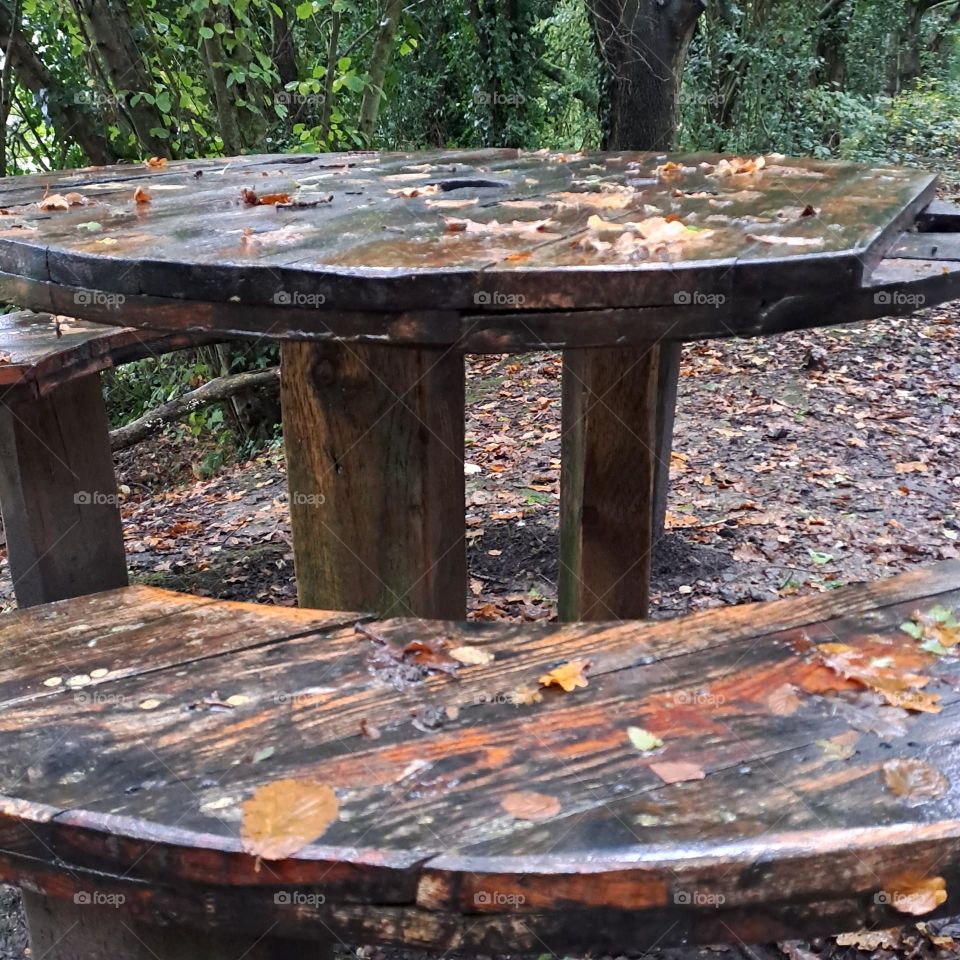 wet wooden picnic bench and table in the rain. uk woodland in Autumn. wet golden leaves stuck to surface and on floor. trees surround