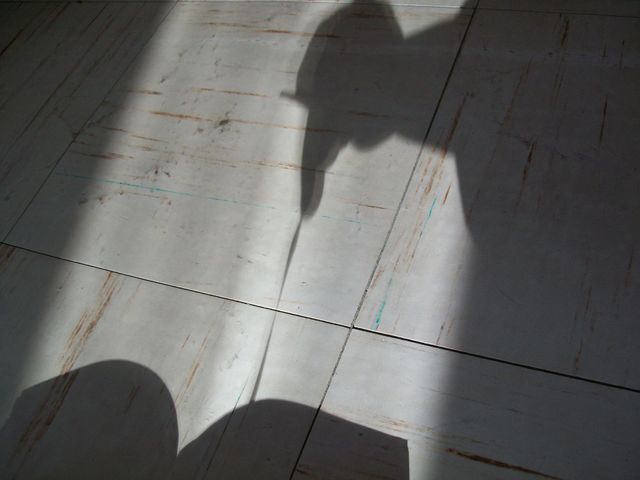 finger s  shadow