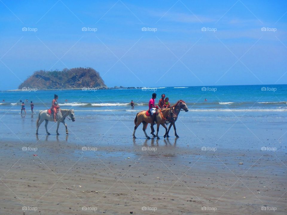 Horses on the beach