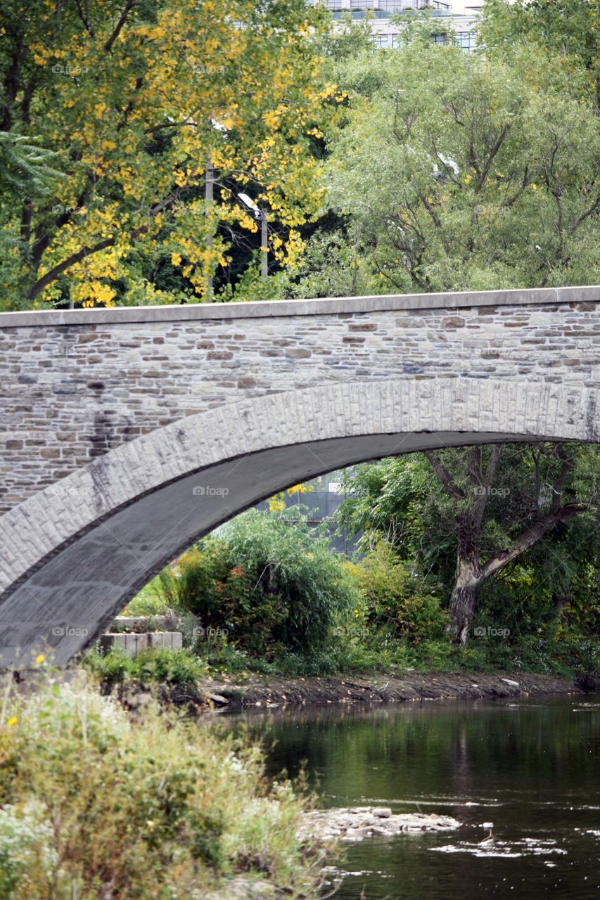 Beginning of fall on a bridge