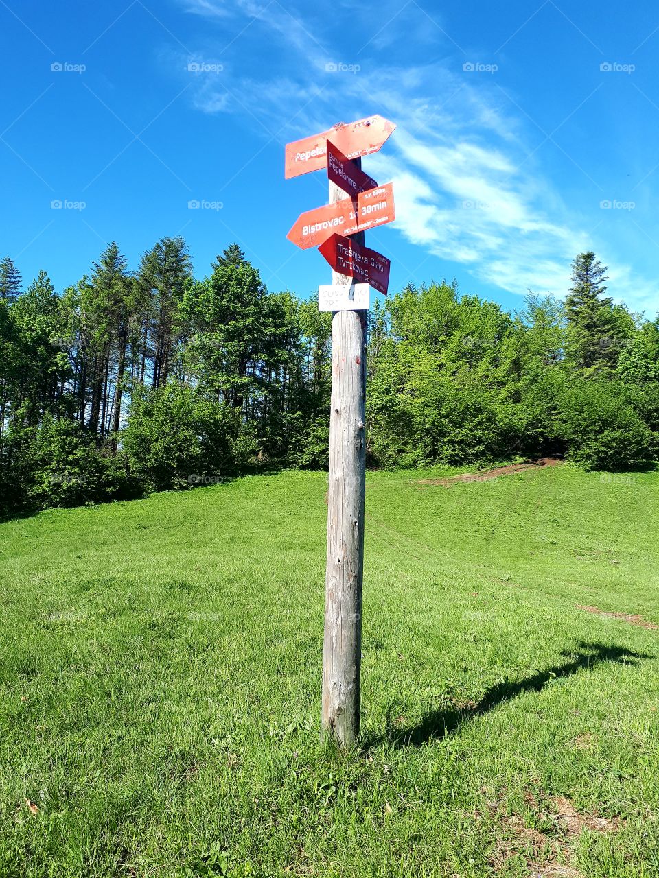 A guidepost on the hill, in a clean area surrounded by forests