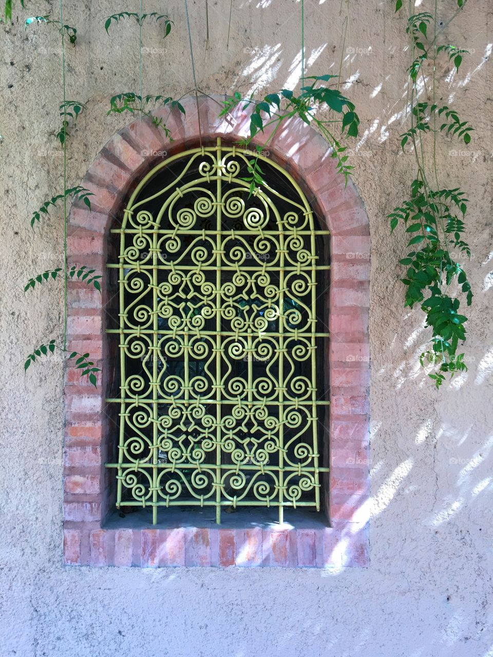 Jardin majorelle gardens 