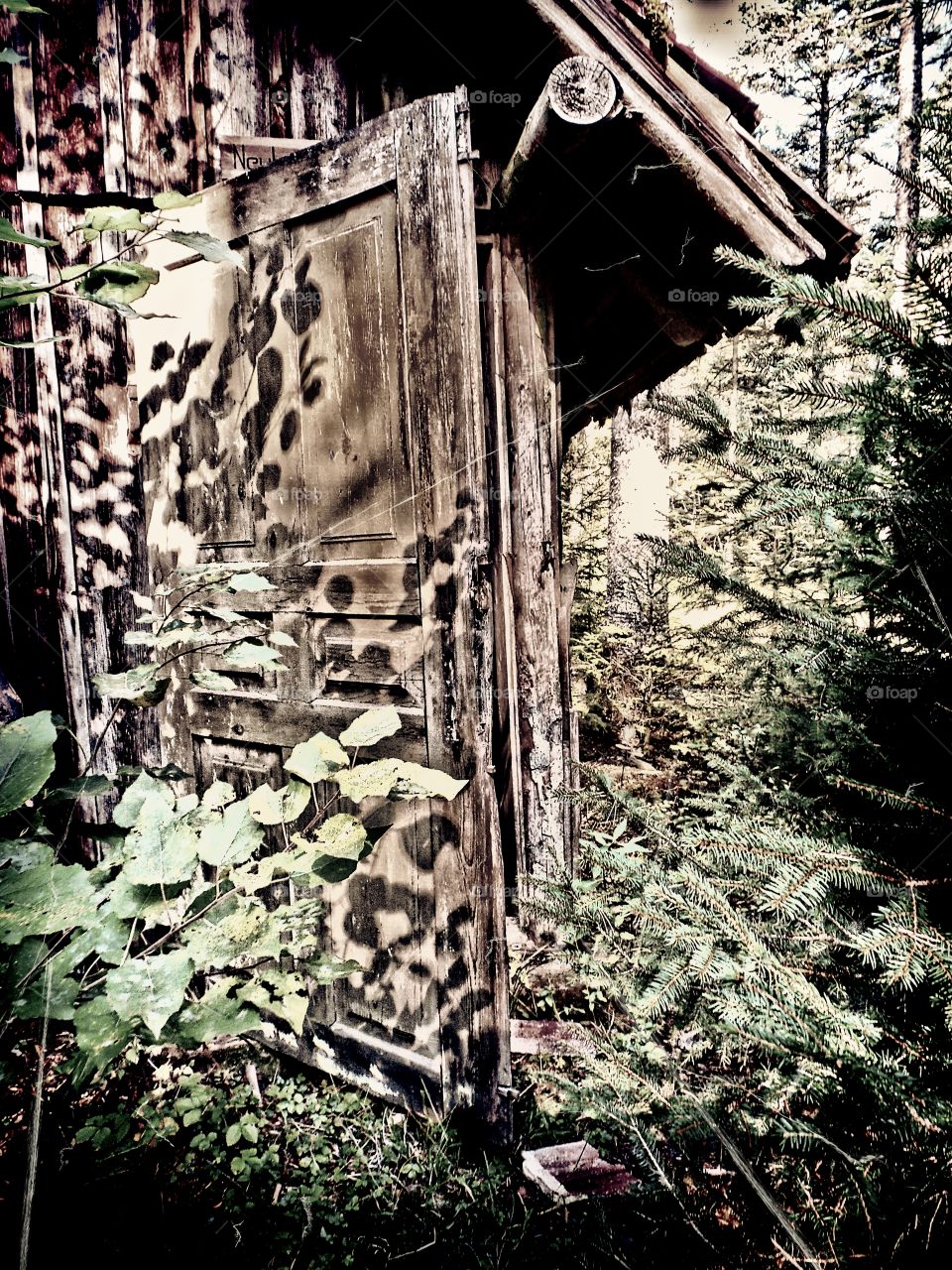 deep in the forest .... an old wooden hut