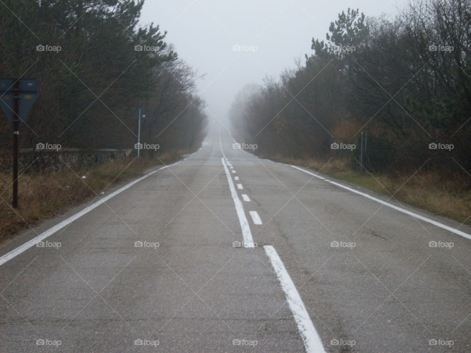 road autumn fog mission5 by uolza