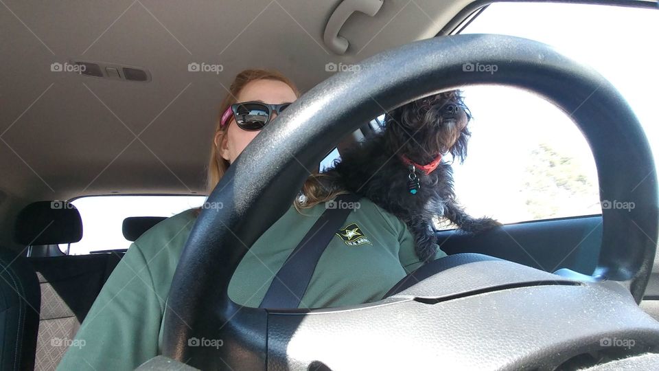 Me and My Shadow heading to the store and she is being a shoulder driver or also known as a backseat driver she loves to go with me everywhere