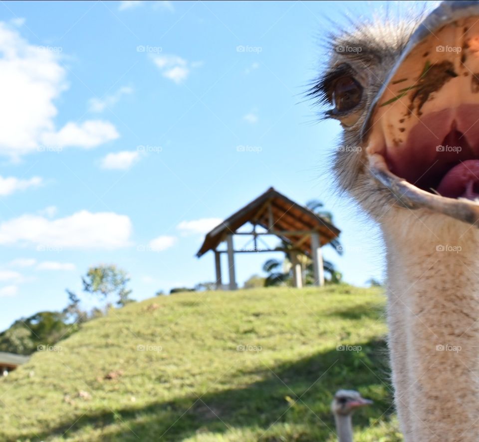 Smile to life... collecting happy moments!!!