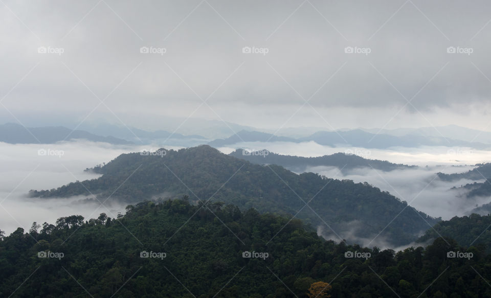 Sea of mist on the mountain.