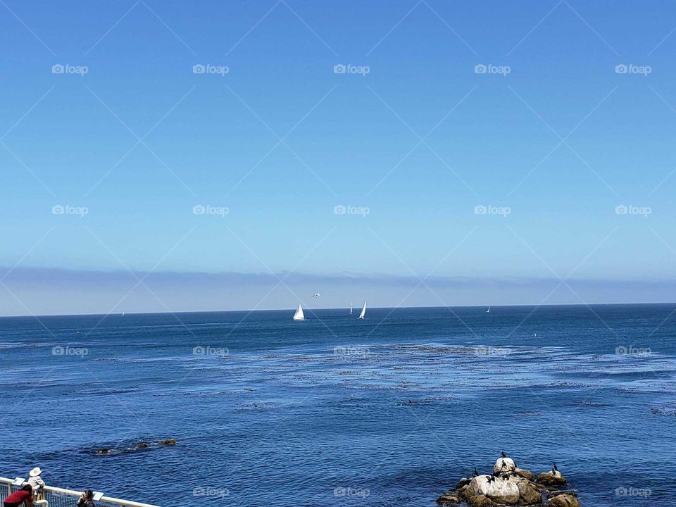 sails in the distance