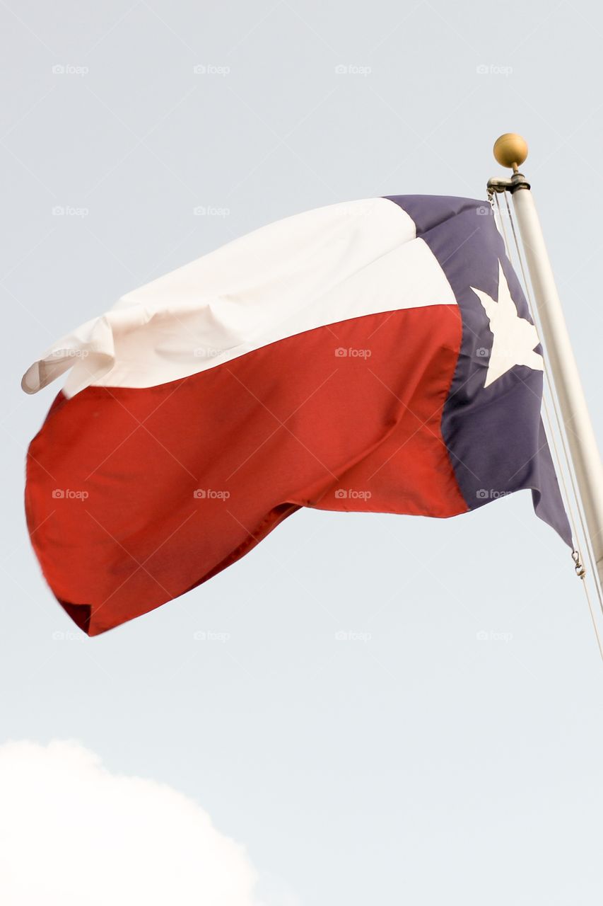 Texas flag