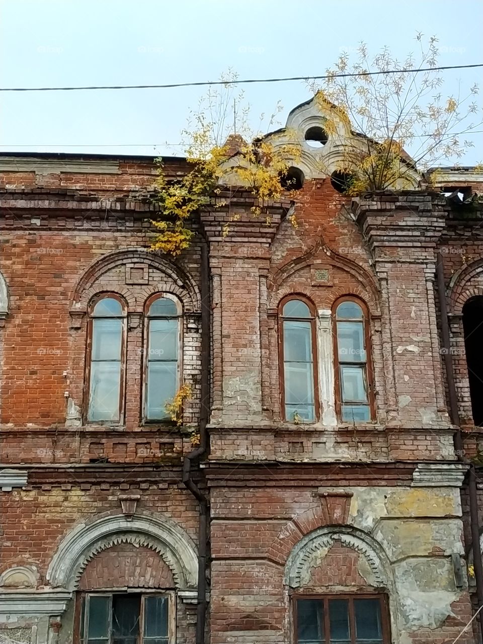 Autumn in Siberia. Yeniseisk.Russia. Autumn walk.