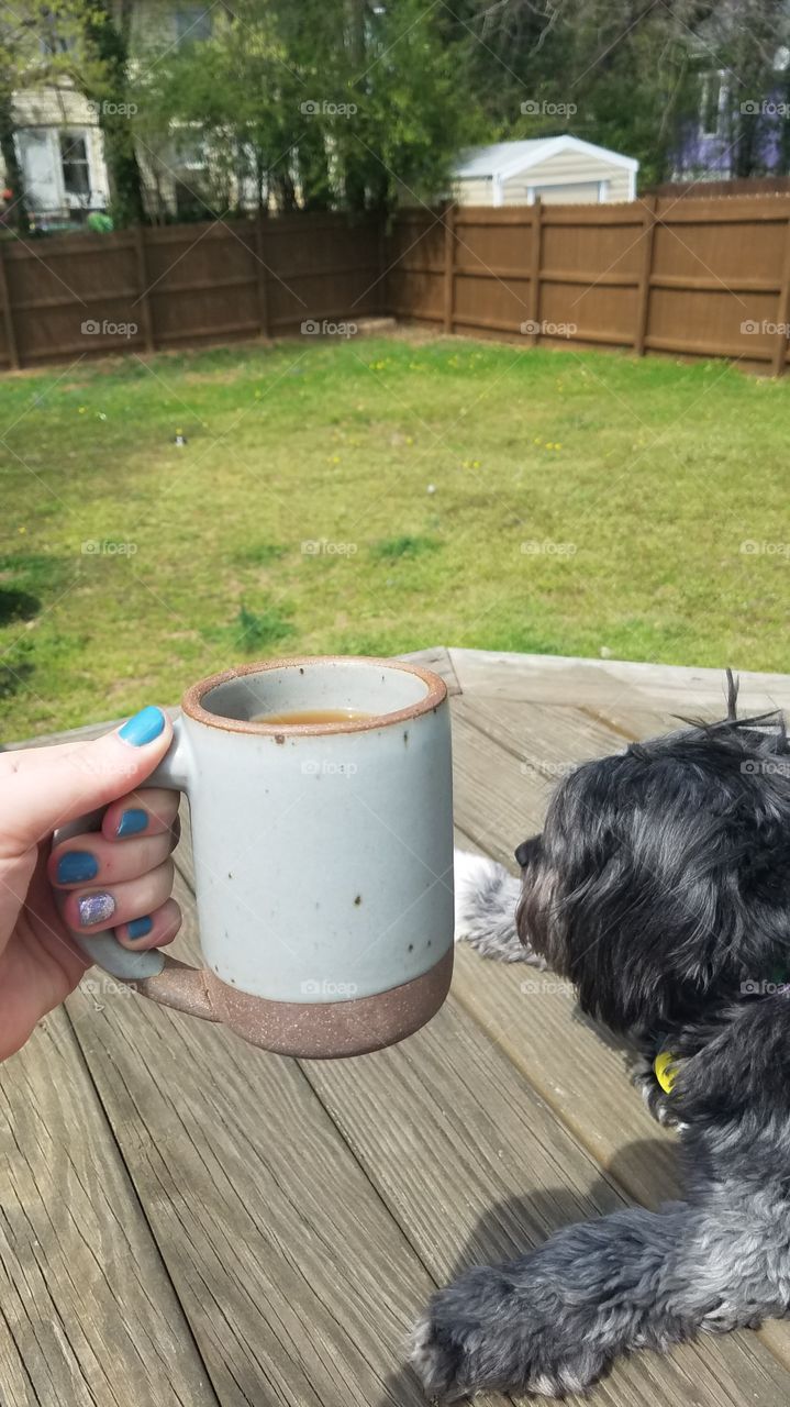 pottery mug and dog outside enjoying the patio