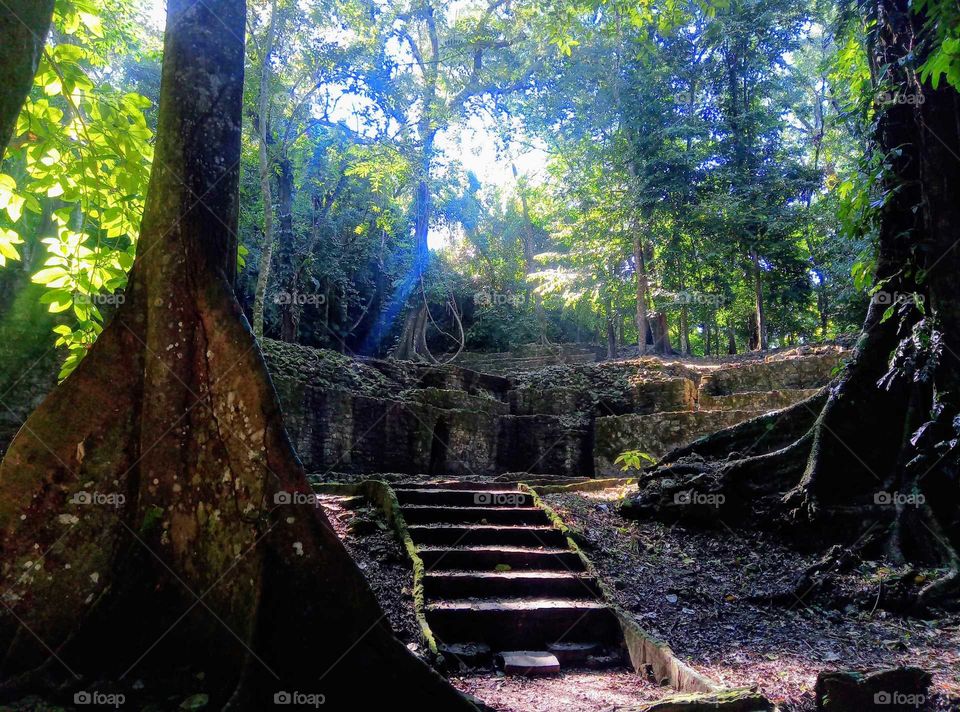 mayan ruins rain forest palenque mexico
