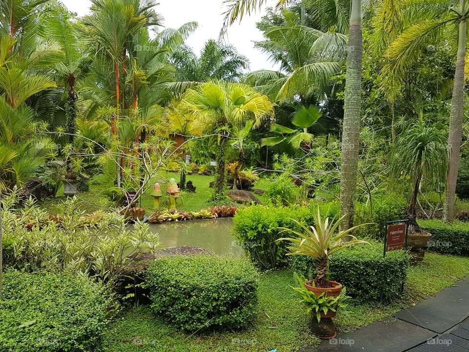 Beautiful Garden Display Phuket