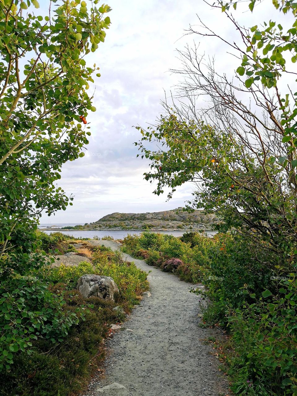 Pathway to the sea