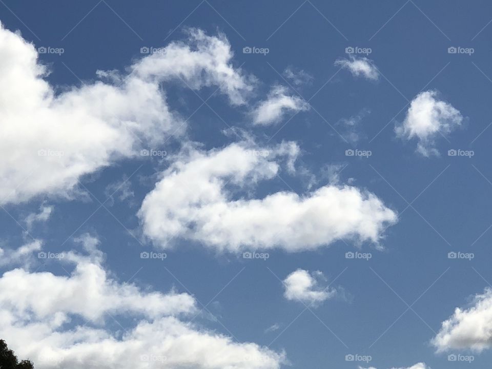 Clouds shape
