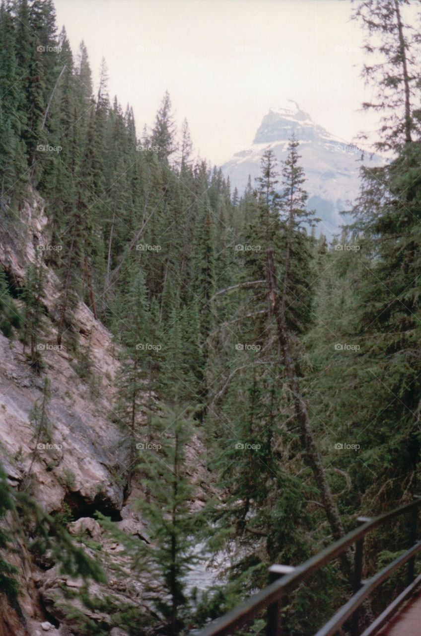 Canadian Rockies