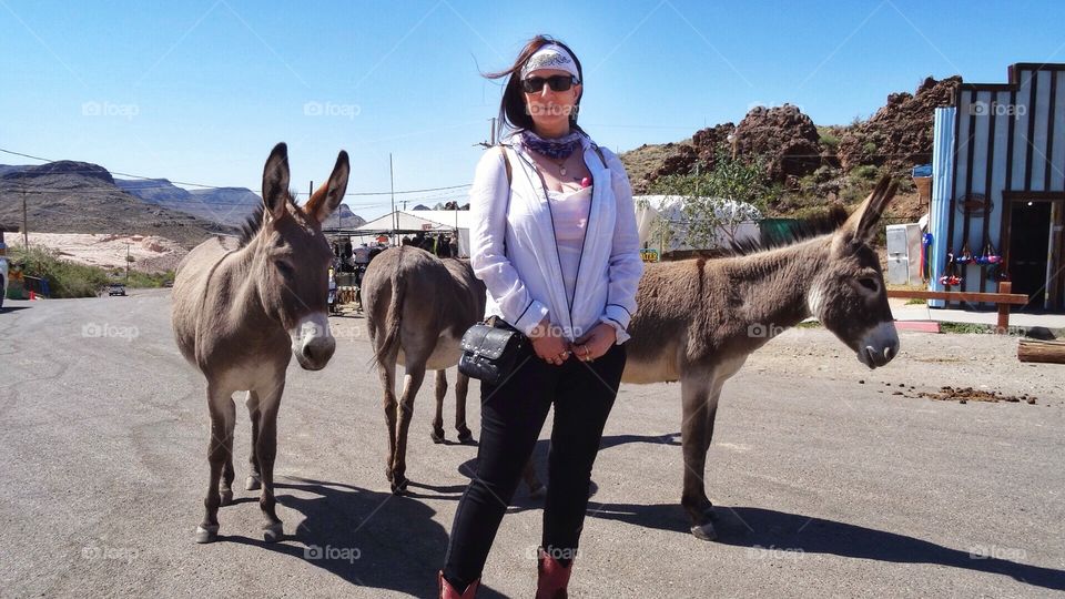 Lady standing with donkeys in Oatman Arizona