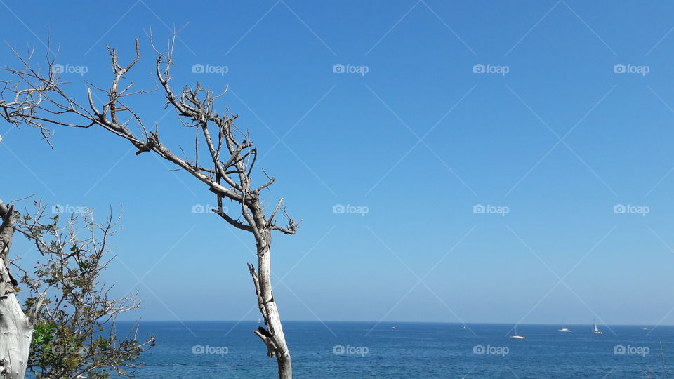 Nature, Water, No Person, Sky, Landscape