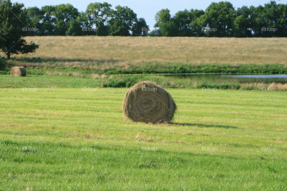 Farmland 