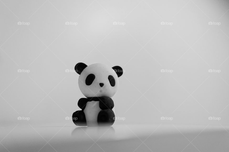 A small panda bear with white background.