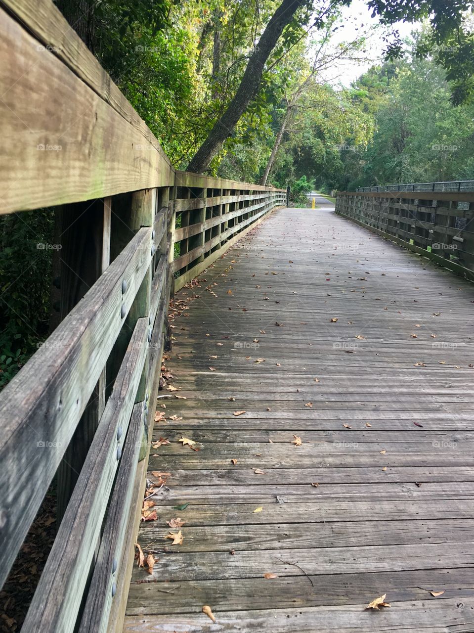 Boardwalk in the fall