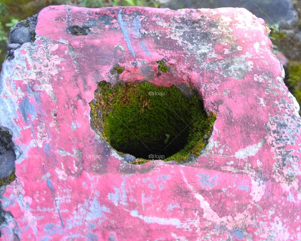 Mossy hole on the floor