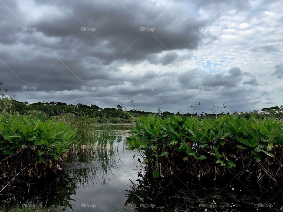 Storm clouds 