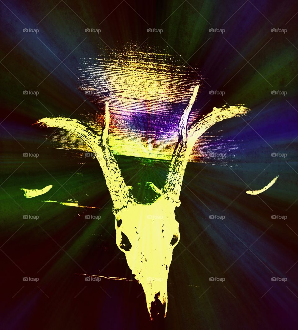 Deer skull rainbow Haze