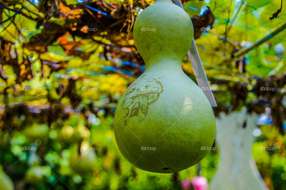 Calabash With Funny Figure