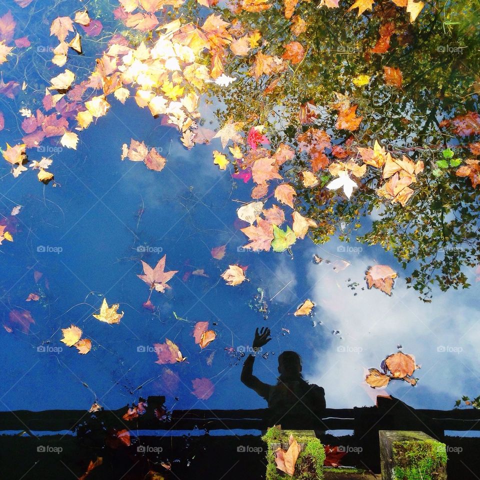 Don't leaf me alone!