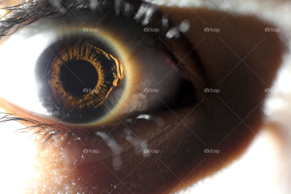 Beautiful and detailed close-up of a light brown eye