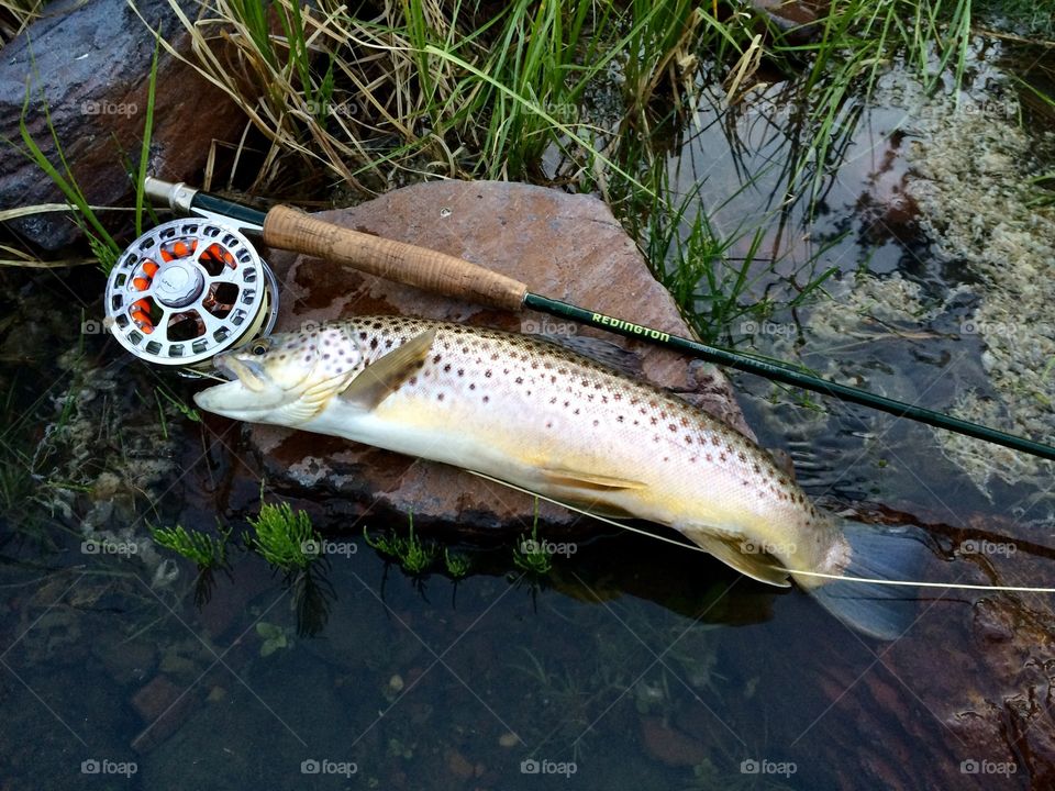 My son is a fly fisherman