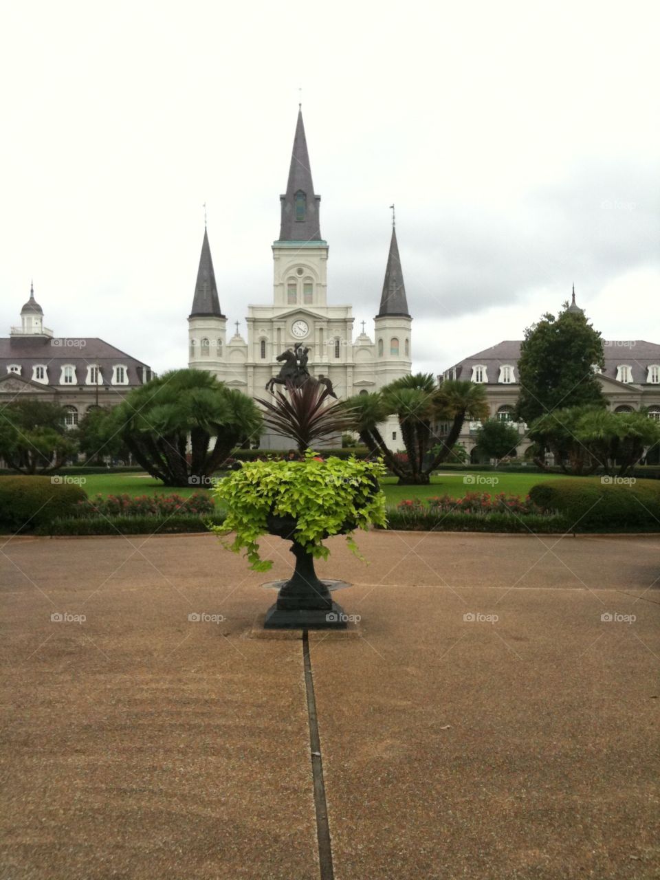 New Orleans 