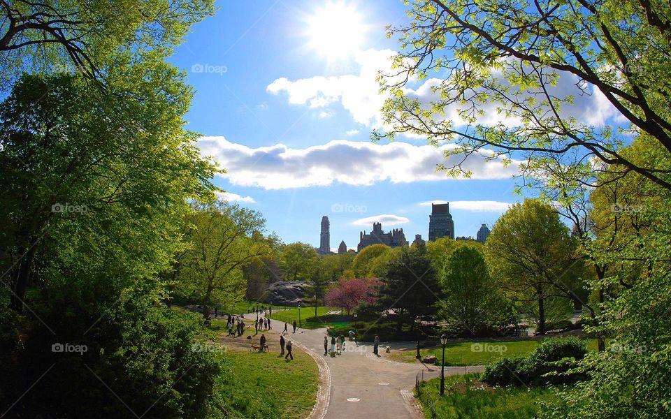 This is my photo and i have the right to sell it