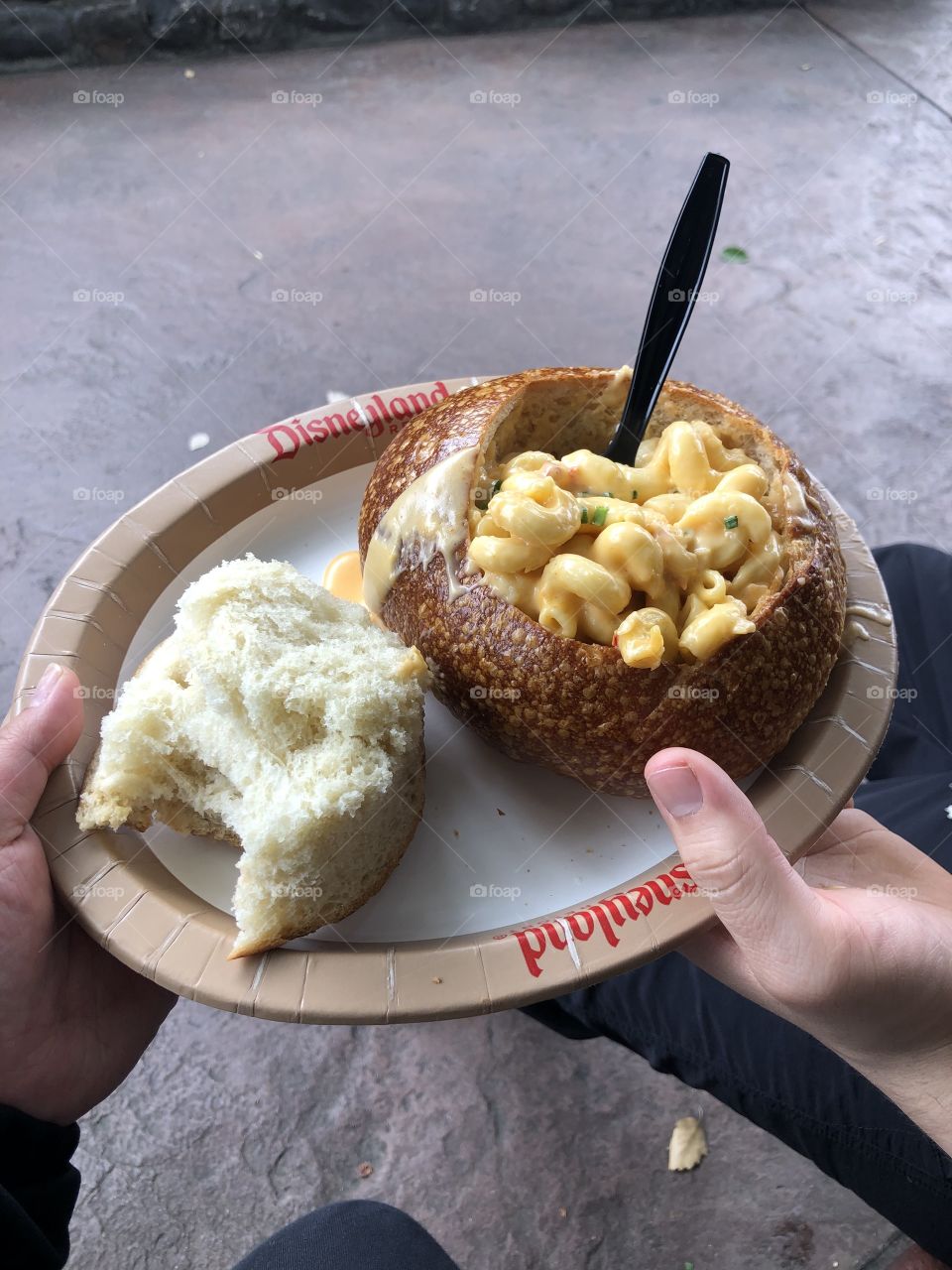 Lobster macarroni and cheese at disneyland