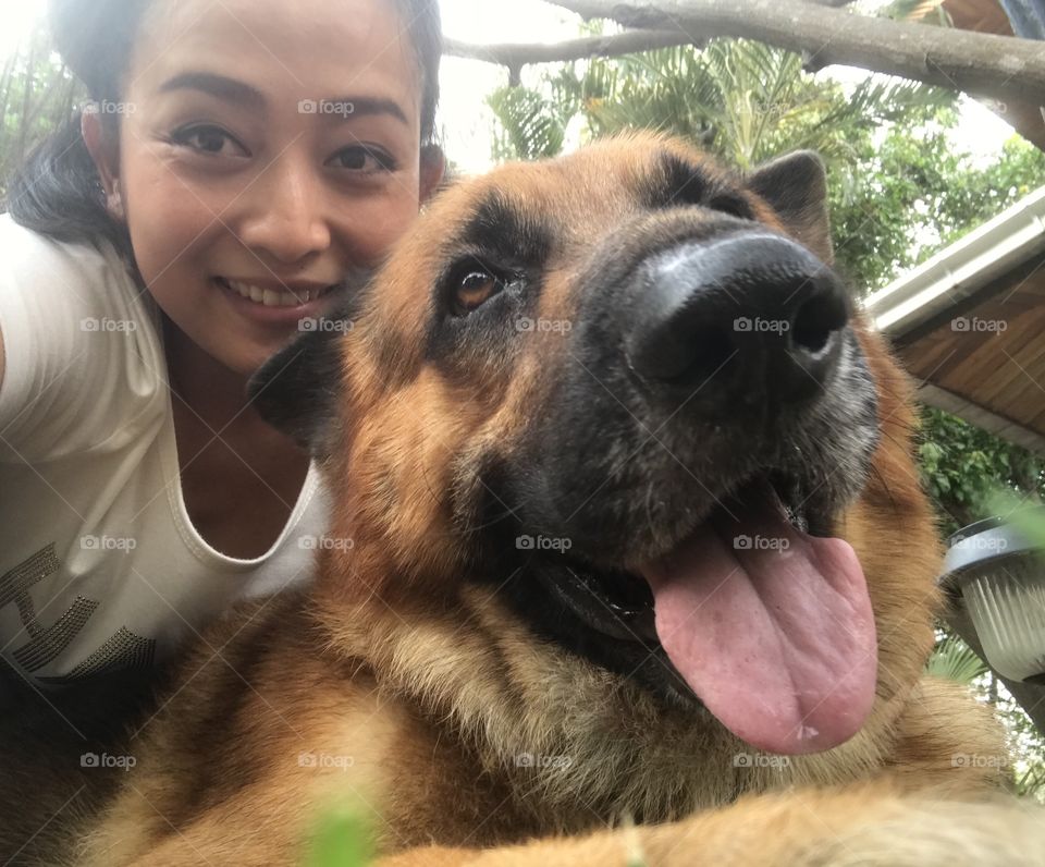 Big dog calls Arno, German Shepherd who always faithful and loves. Thailand 