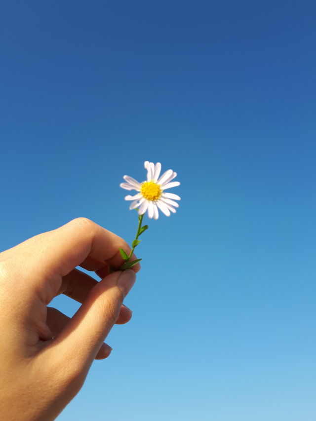 imperfect but beautiful